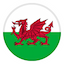 Wales (w) U17