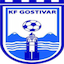 FK Rinija Gostivar